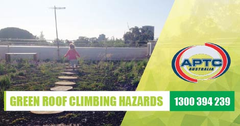 Green Roof System and Green Rooftop Melbourne